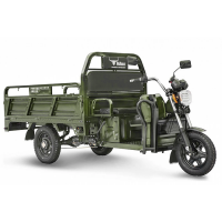 Грузовой электротрицикл Rutrike D4 1800 60V1200W Зеленый