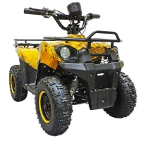 Электроквадроцикл GreenCamel Гоби K45 (36V 800W R6 Цепной привод) Золотая осень